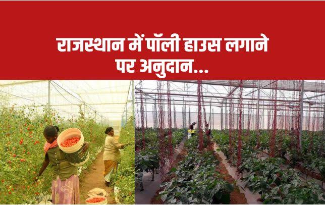 पॉलीहाउस, ग्रीन हाउस लगाने पर सरकार दे रही हैं 50 लाख तक अनुदान